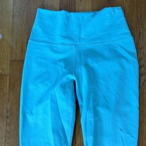 Mint Fabletics leggings